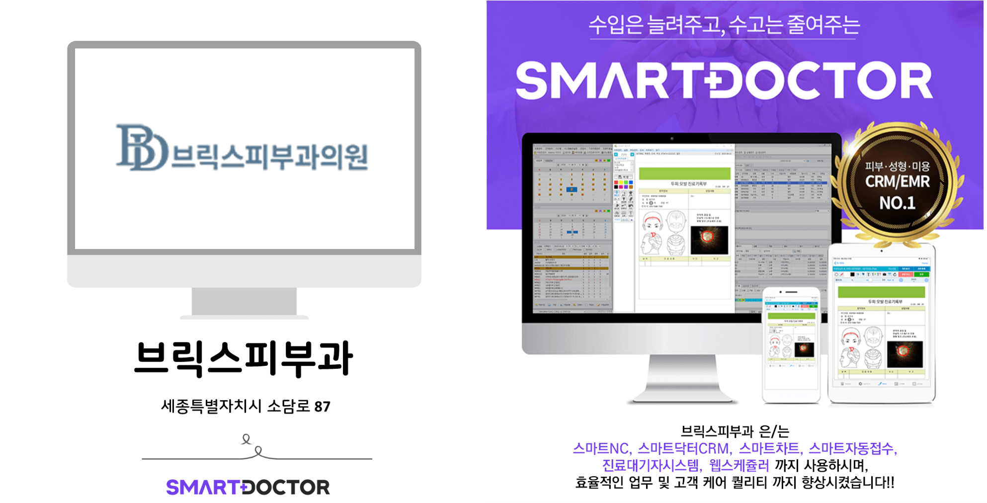브릭스피부과(세종)
